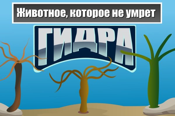 Не могу зайти на кракен