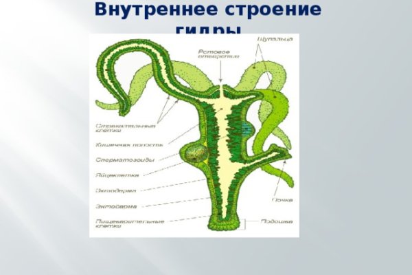 Кракен площадка торговая kr2web in