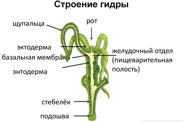 Кракен как зайти через тор браузер